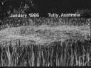 Aus-1966.JPG